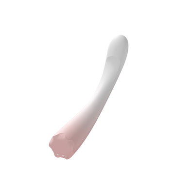 Multi-Point Vibrator with Vibration Modes