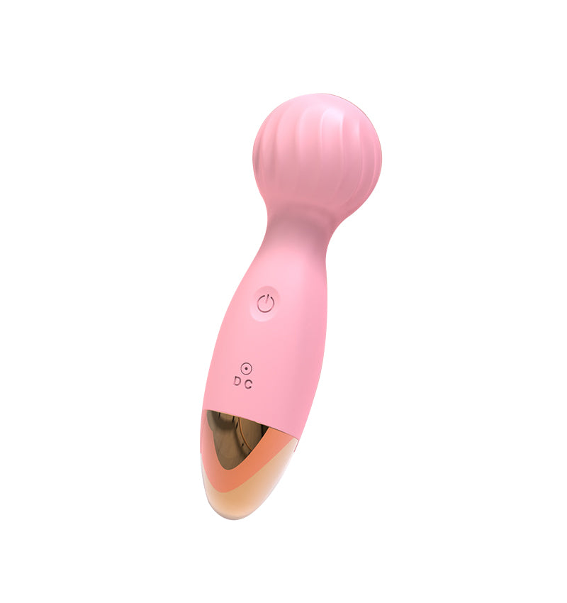 10-Speed Powerful Wand Vibrator for Women
