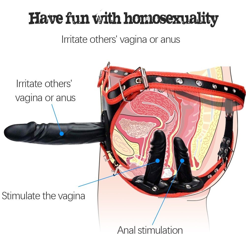 3 Removeable Silicone Double Sided Strapon Dildo with Harness Belt SM - Seductiva