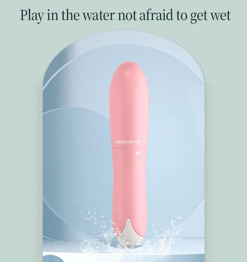 Quiet Mini Dolphin Vibrator