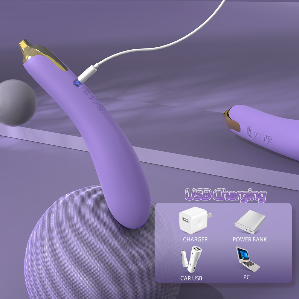 USB charging eggplant-design vibrator — rechargeable vibrating stick with charging cable and power source icons
