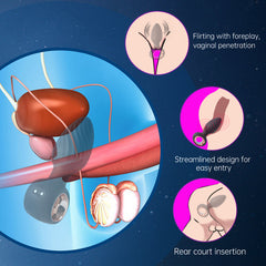ring twist anal plug vibrators