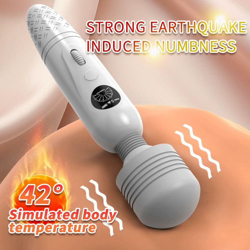 vibrator with heating