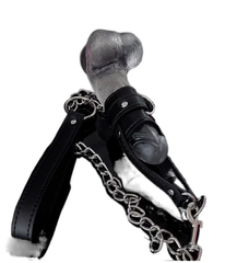 SM  Penile traction chain