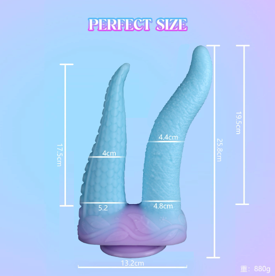 Two suction cup-shaped dildo of SM