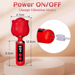 Rotary rose vibrator