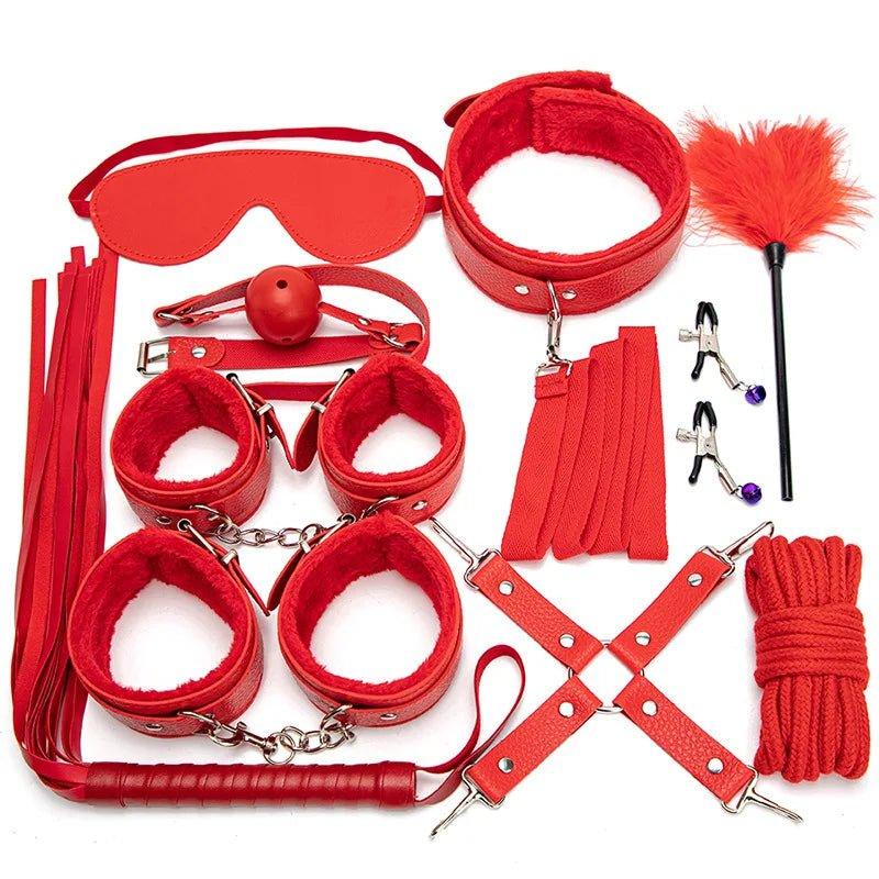 Full BDSM set including gag, cuffs and whip shown from top view